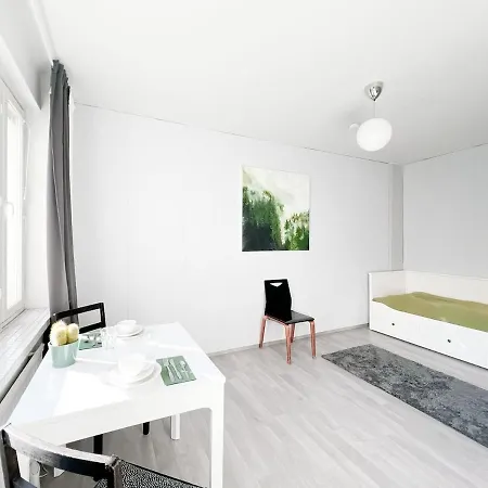 Viihtyisae Yksioe Tampereen Keskustassa Apartamento
